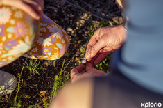 gansbaai_things_to_do_day_tours_funbos_bikes_adventure_fynbos_talk_1723036447