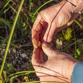 Educational Ride - Funbos Bikes - Xplorio™ Gansbaai
