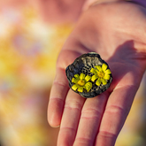 Educational Ride - Funbos Bikes - Xplorio™ Gansbaai