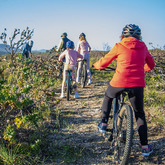 E-biking - Funbos Bikes - Xplorio™ Gansbaai