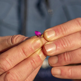 Educational Bike Tours - Funbos Bikes - Xplorio™ Gansbaai