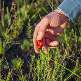 Educational Bike Tours - Funbos Bikes - Xplorio™ Gansbaai
