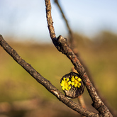 Educational Bike Tours - Funbos Bikes - Xplorio™ Gansbaai