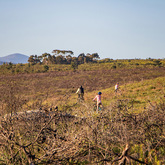Educational Bike Tours - Funbos Bikes - Xplorio™ Gansbaai