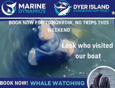 Next Marine Big 5 Trip: 8 August 2024!