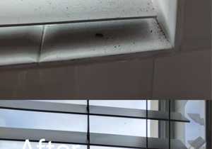 Mildew Removal and Blinds Cleaning