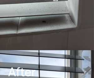 Mildew Removal and Blinds Cleaning