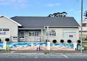 Gorgeous Gansbaai Arts Project and Seeff Gansbaai: A Splash of Colour