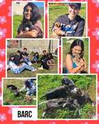 A HUGE THANK YOU to the Volunteers from White Shark Projects!