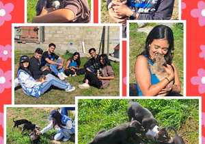 A HUGE THANK YOU to the Volunteers from White Shark Projects!