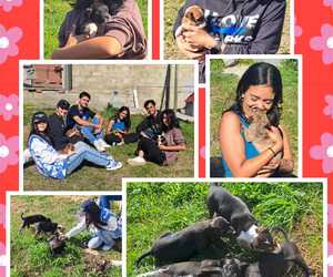 A HUGE THANK YOU to the Volunteers from White Shark Projects!