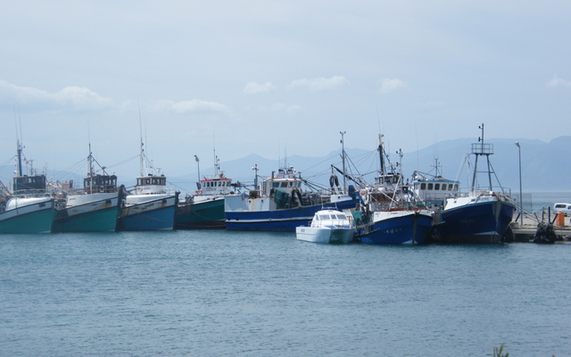 Voorblad2.1_1723616905