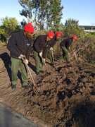 Horticulture Students Prep Soil for New Plantings at Grootbos