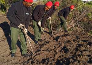 Horticulture Students Prep Soil for New Plantings at Grootbos