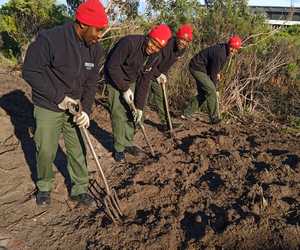 Horticulture Students Prep Soil for New Plantings at Grootbos