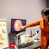 Optometrists - Bierman Malan Optometrists Hermanus - Xplorio™ Hermanus