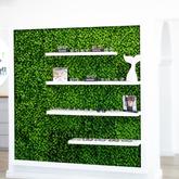 Optometrists - Bierman Malan Optometrists Hermanus - Xplorio™ Hermanus