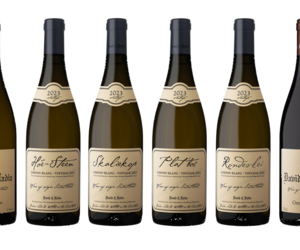 In Stock: David and Nadia