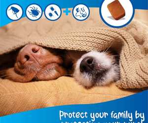 NexGard SPECTRA® for Zoonosis Prevention