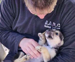 Help Us Care for Animals in Need by Donating