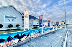 IMG_3048_2_1723464150_1724137463