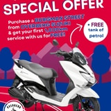 WhatsApp_Image_2024_10_30_at_09.08.31_1730272539