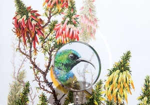 Grootbos Lodge and Florilegium: Time Magazine Top 100