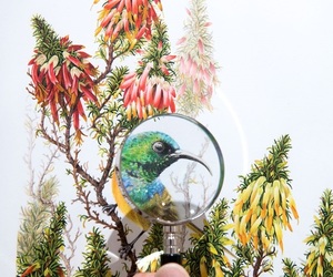 Grootbos Lodge and Florilegium: Time Magazine Top 100