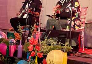 ‘Laat die Gansies Gons’