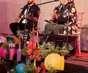 ‘Laat die Gansies Gons’