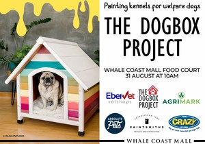 Dogbox Project: Paint Kennels for a Good Cause