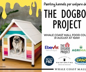 Dogbox Project: Paint Kennels for a Good Cause