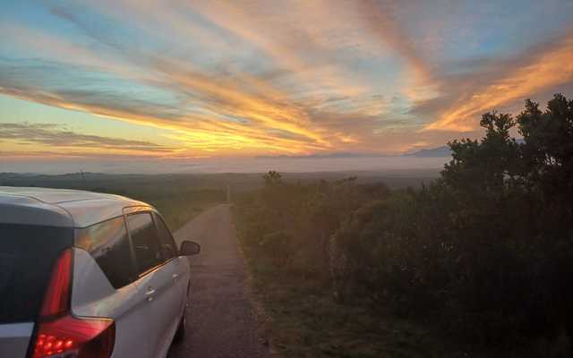 WhatsApp_Image_2024_08_14_at_08.49.53_1__1724226886 WhatsApp_Image_2024_08_14_at_08.49.53_1__1724226886