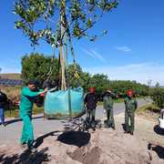 Horticulture Students Showcase Their Skills!