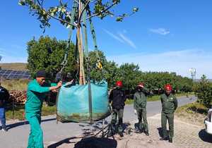 Horticulture Students Showcase Their Skills!