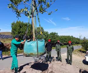 Horticulture Students Showcase Their Skills!