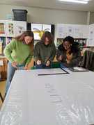 Preserving Insect History