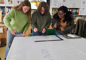 Preserving Insect History