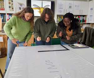 Preserving Insect History