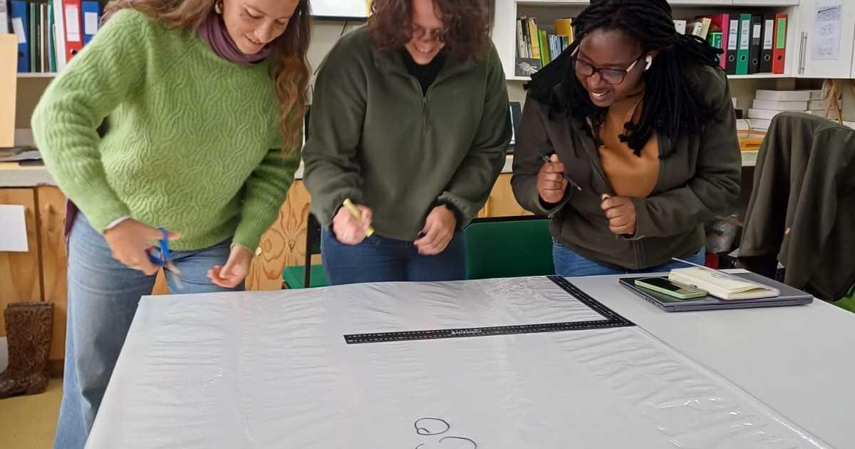 Preserving Insect History - Grootbos Foundation - Xplorio™ Gansbaai