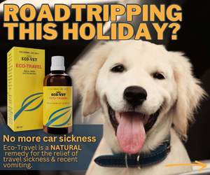 Natural Remedies for Pet Travel Sickness and Anxiety