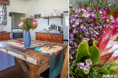 napier_self_catering_de_skaap_accommodation_and_event_venue_jan_frederik_kitchen_cropped_1724332966