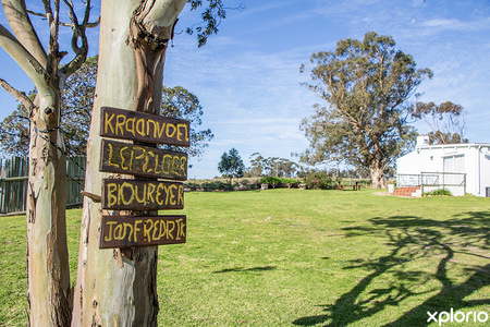 napier_self_catering_de_skaap_accommodation_and_event_venue_outside_decor_in_tree_1724333054