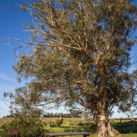 Braai - De Skaap Accommodation & Event Venue - Xplorio™ Napier