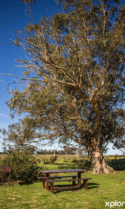 napier_self_catering_de_skaap_accommodation_and_event_venue_view_of_braai_1724333112