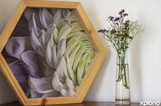 napier_self_catering_de_skaap_accommodation_and_event_venue_jan_frederik_decor_1724333185