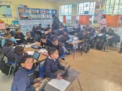 Nurturing Success: Greyton Primary's Balanced Curriculum