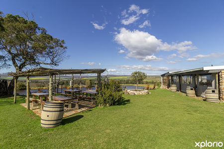 stanford_restaurant_casa_cello_pet_friendly_1724417392