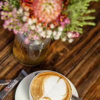 Cappuccino - Casa Cello - Xplorio™ Stanford