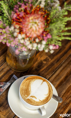 stanford_restaurant_casa_cello_cuppachino_1724417465